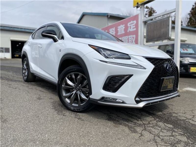 LEXUS NX