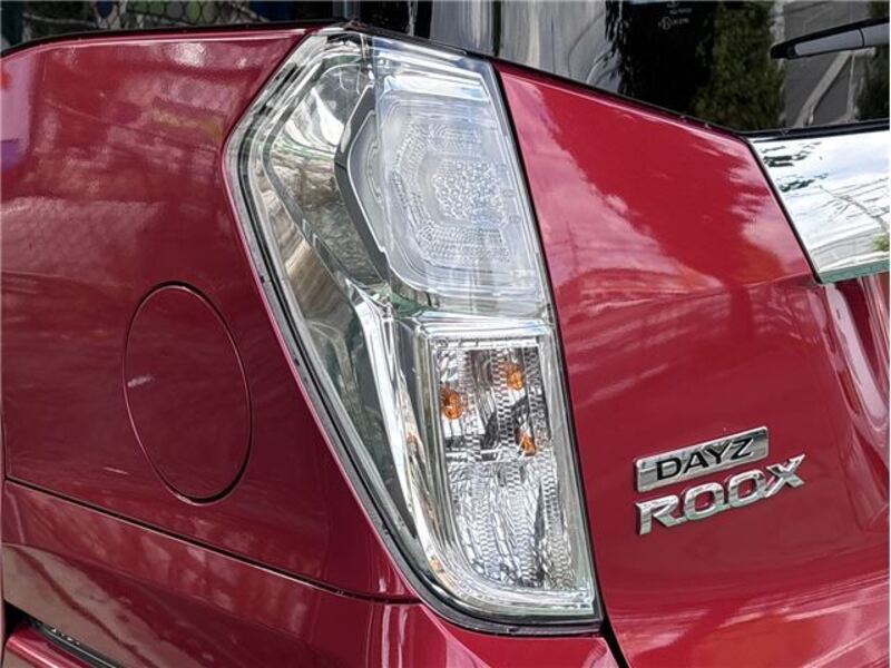 DAYZ ROOX