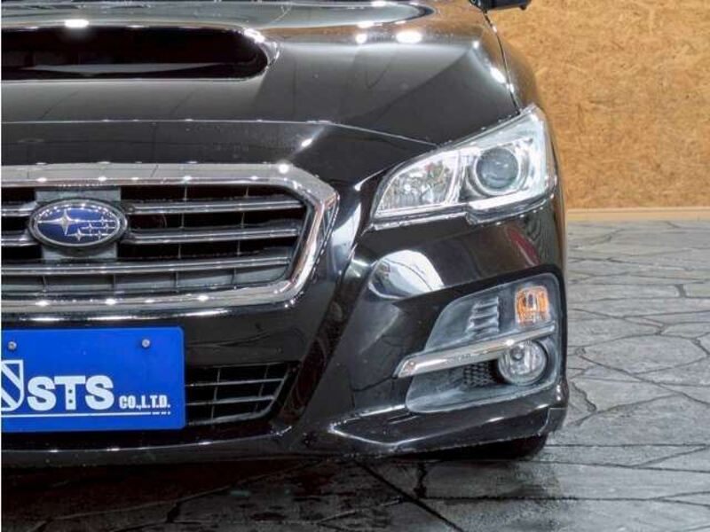 LEVORG
