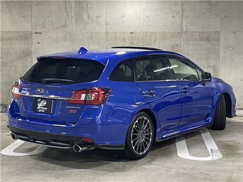 LEVORG