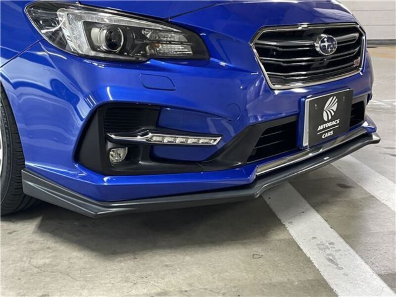 LEVORG