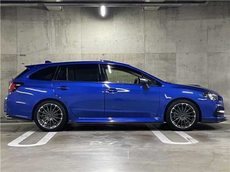 LEVORG