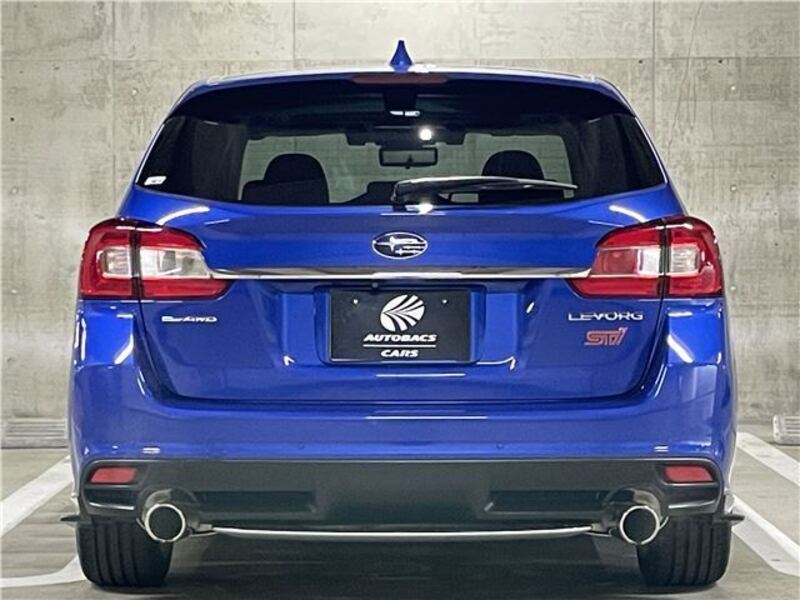 LEVORG