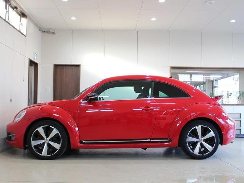 THE BEETLE