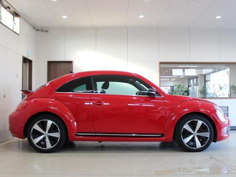 THE BEETLE