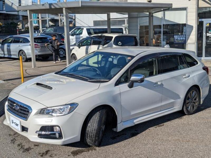 LEVORG