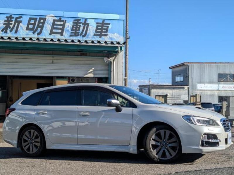 LEVORG