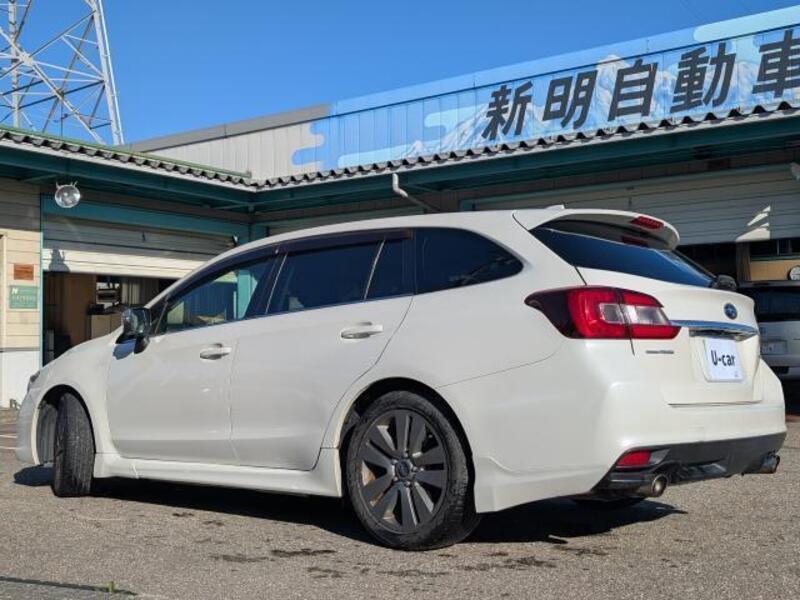 LEVORG