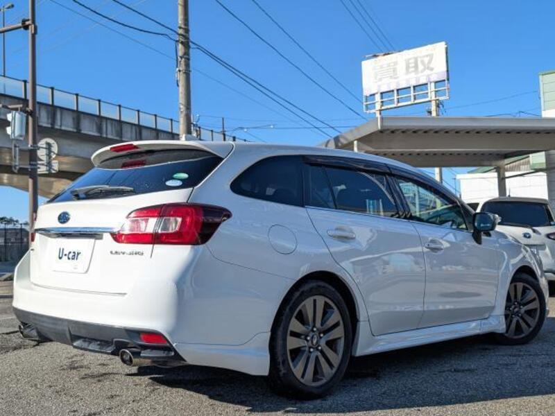 LEVORG