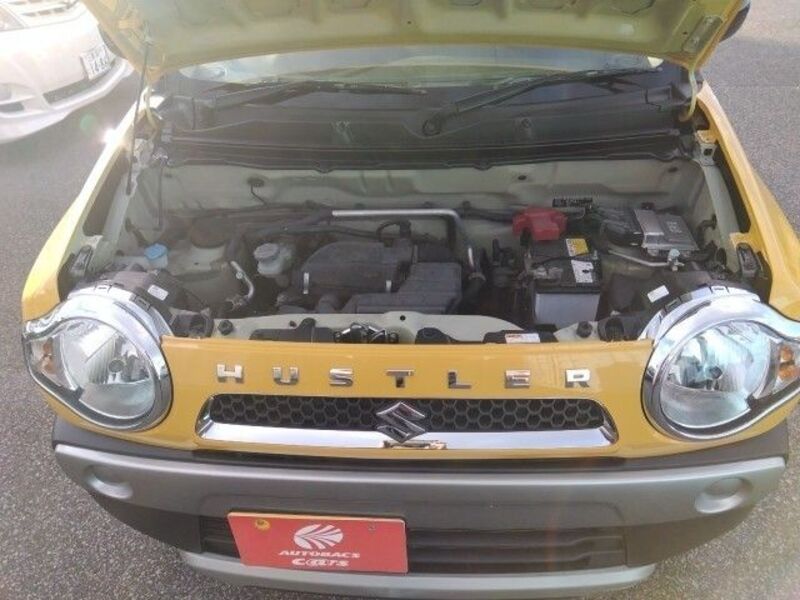 HUSTLER