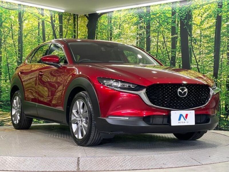 CX-30