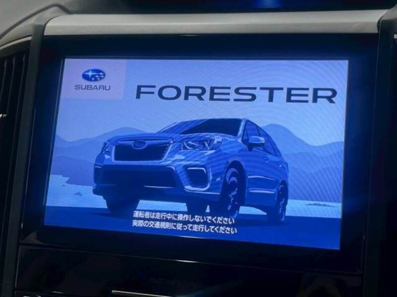 FORESTER