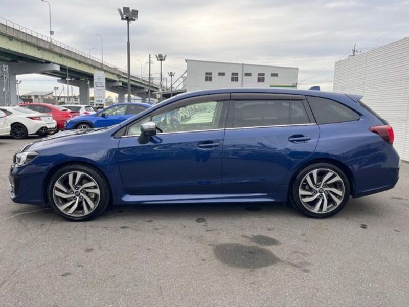 LEVORG