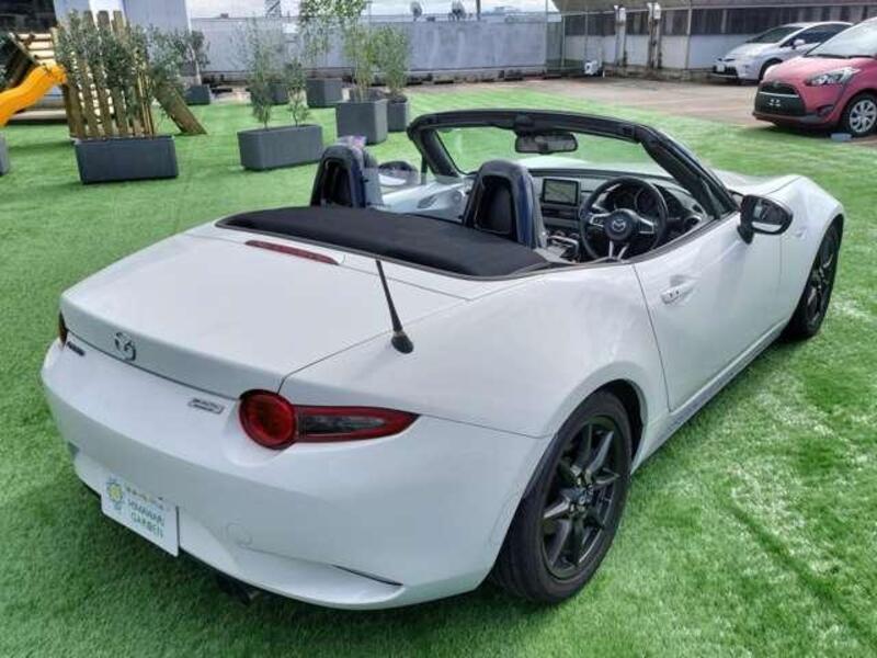 ROADSTER
