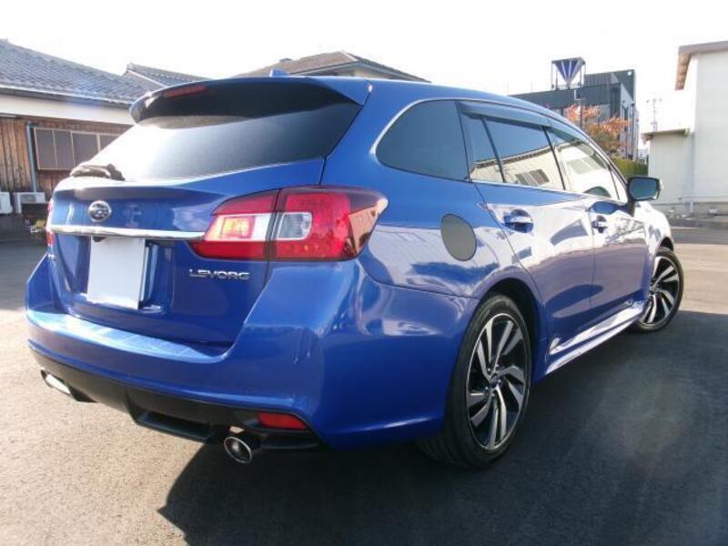 LEVORG