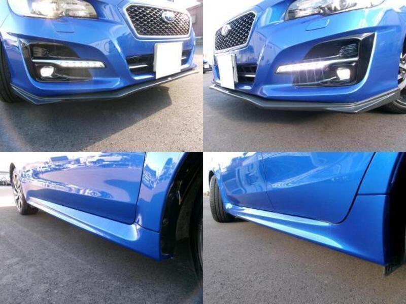 LEVORG