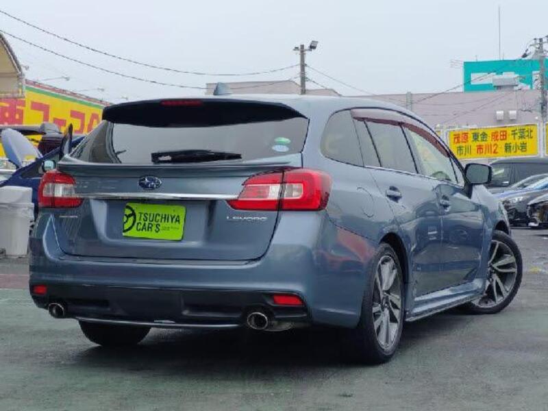 LEVORG