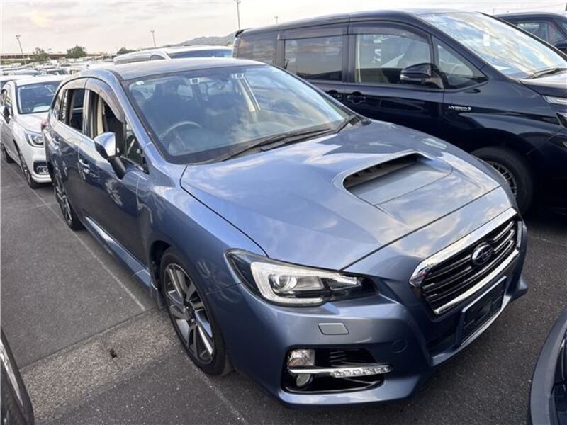 LEVORG-0