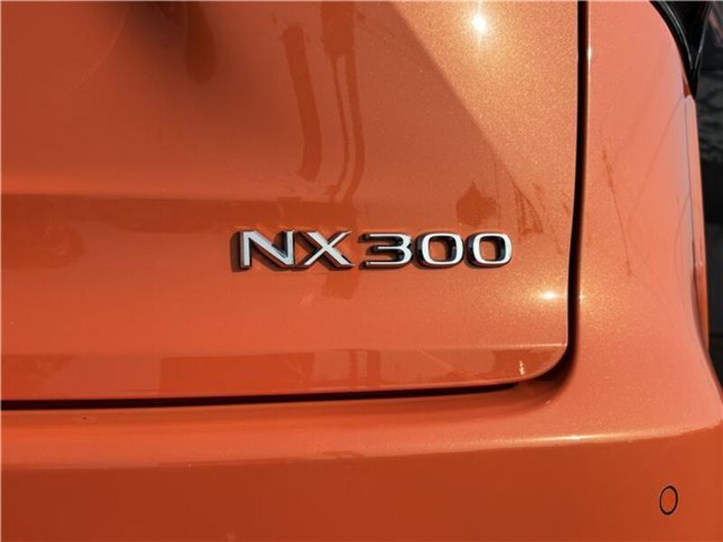 NX