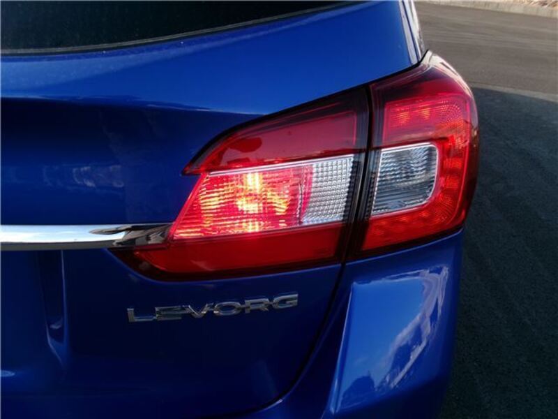 LEVORG