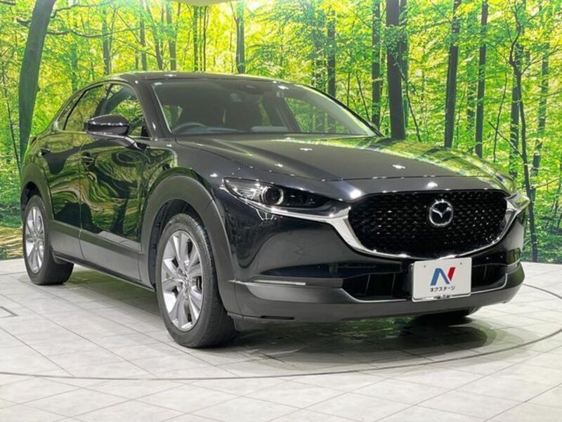CX-30