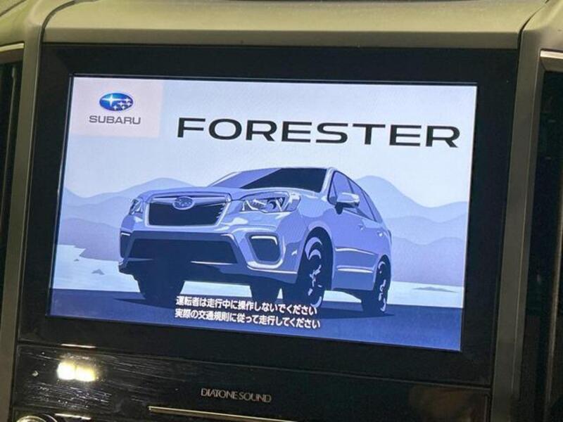 FORESTER