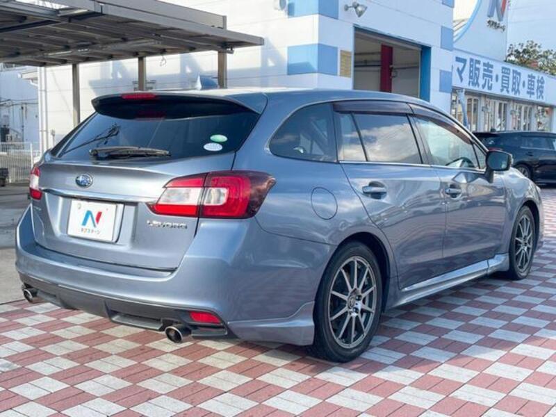 LEVORG