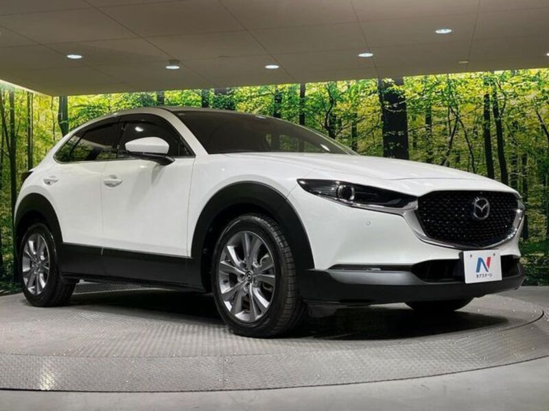 CX-30
