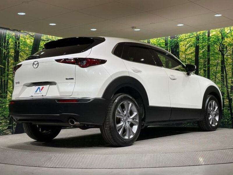 CX-30