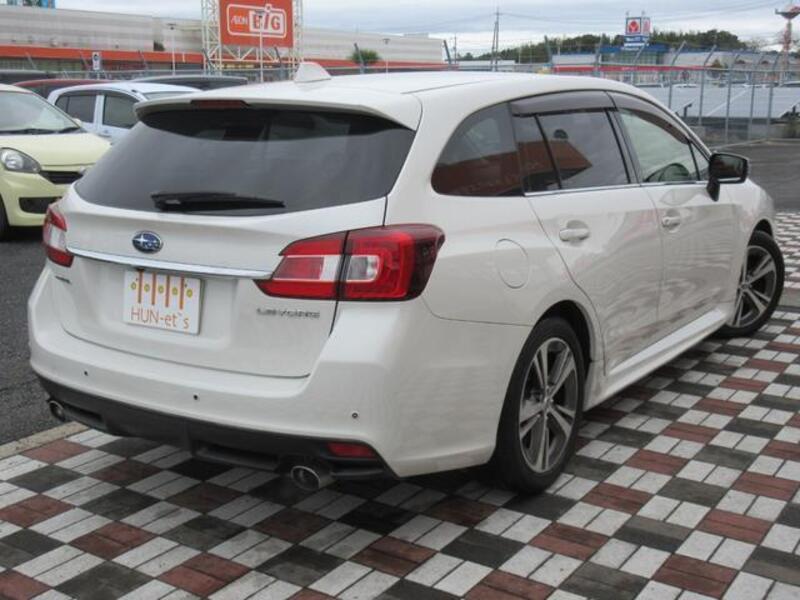 LEVORG