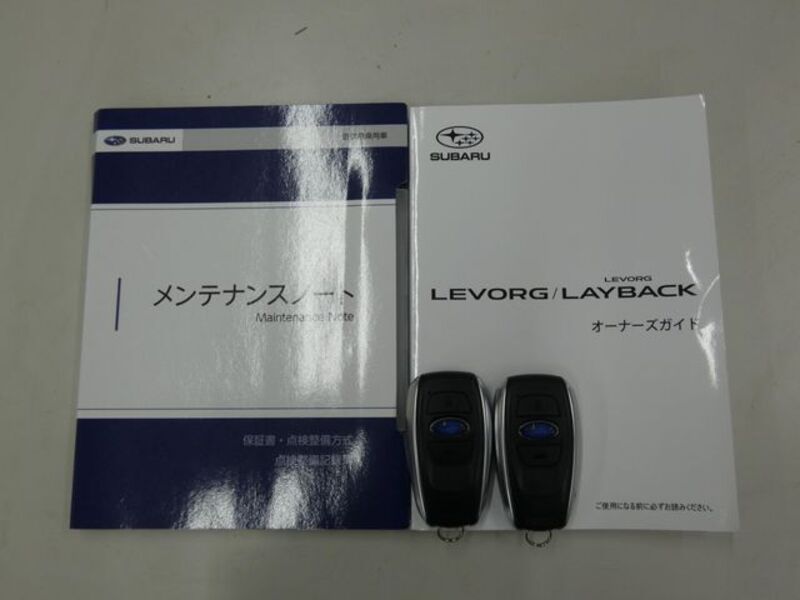 LEVORG