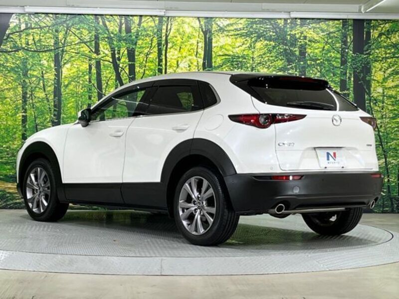 CX-30