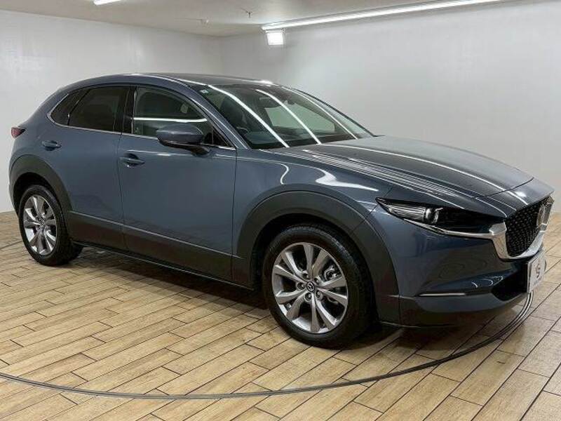 CX-30