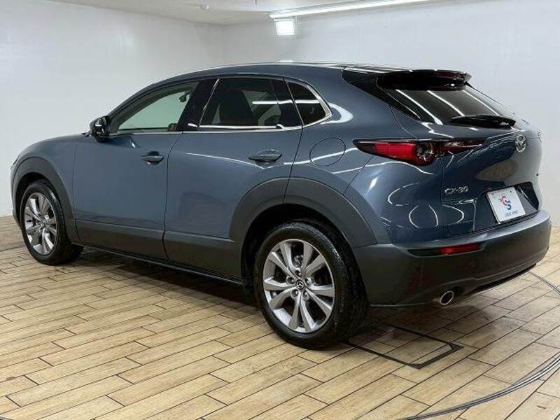 CX-30