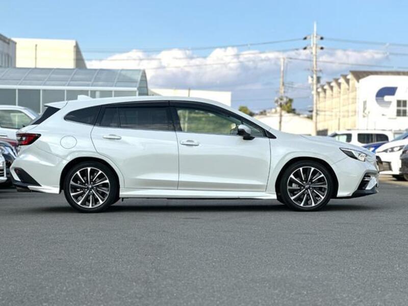 LEVORG