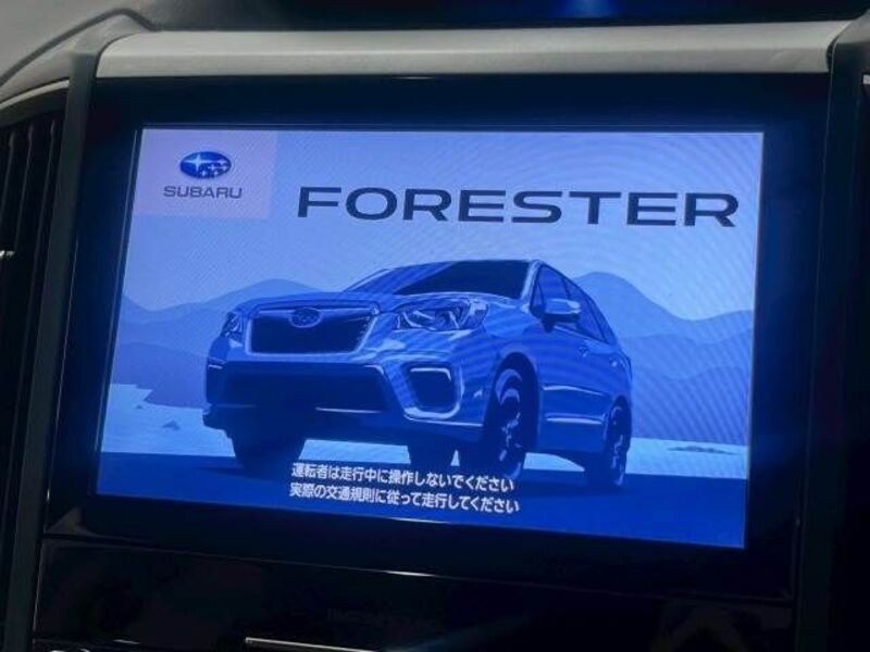FORESTER