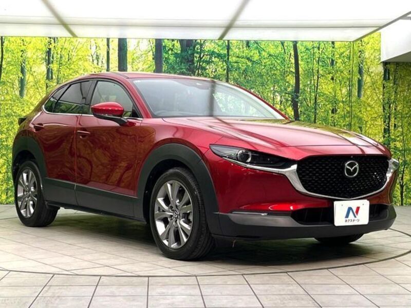 CX-30