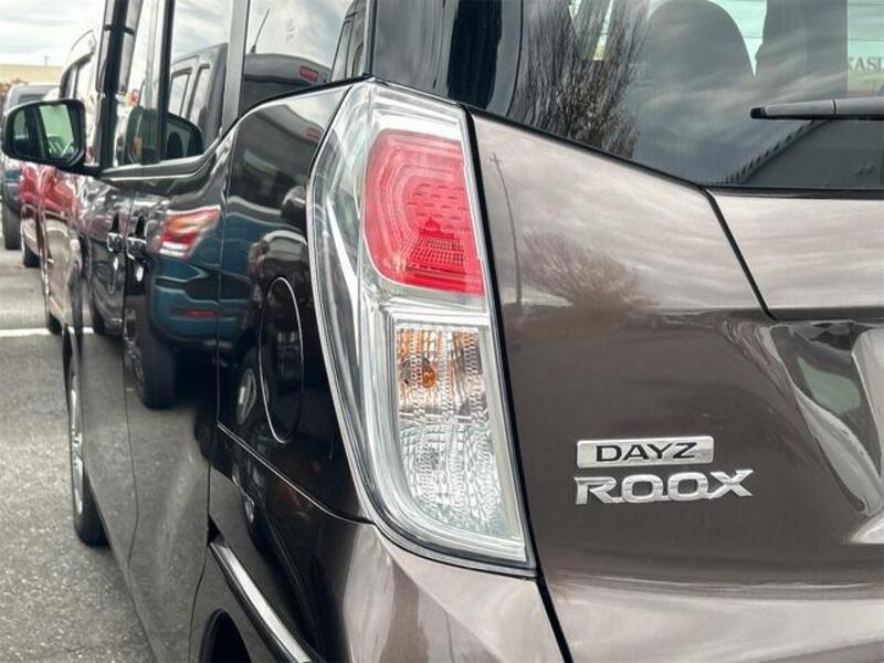 DAYZ ROOX