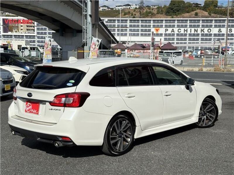 LEVORG