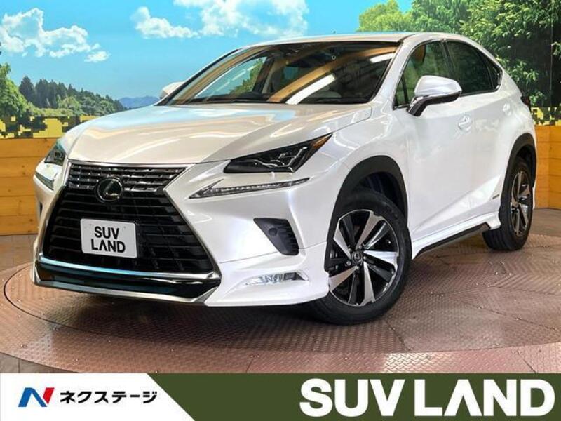 LEXUS NX