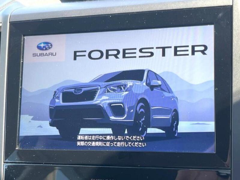 FORESTER