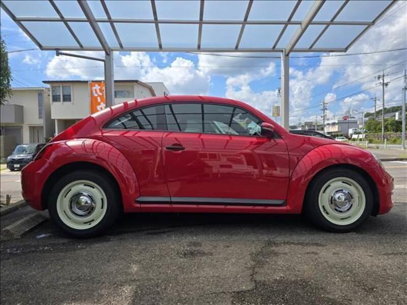 THE BEETLE