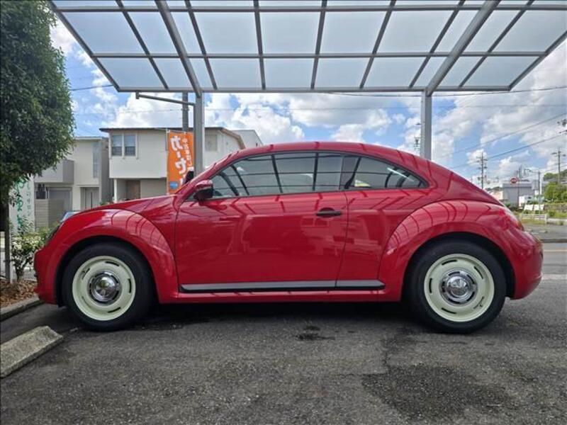 THE BEETLE