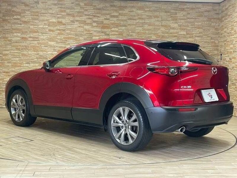 CX-30