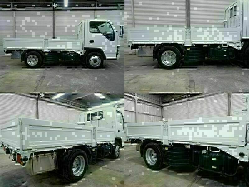 ELF-3