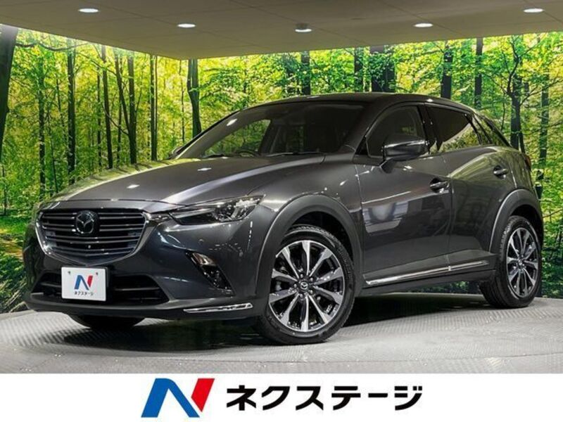 CX-3-0