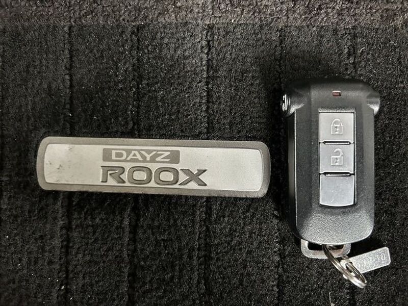 DAYZ ROOX