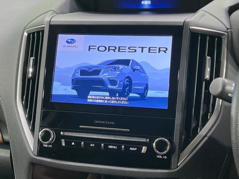 FORESTER