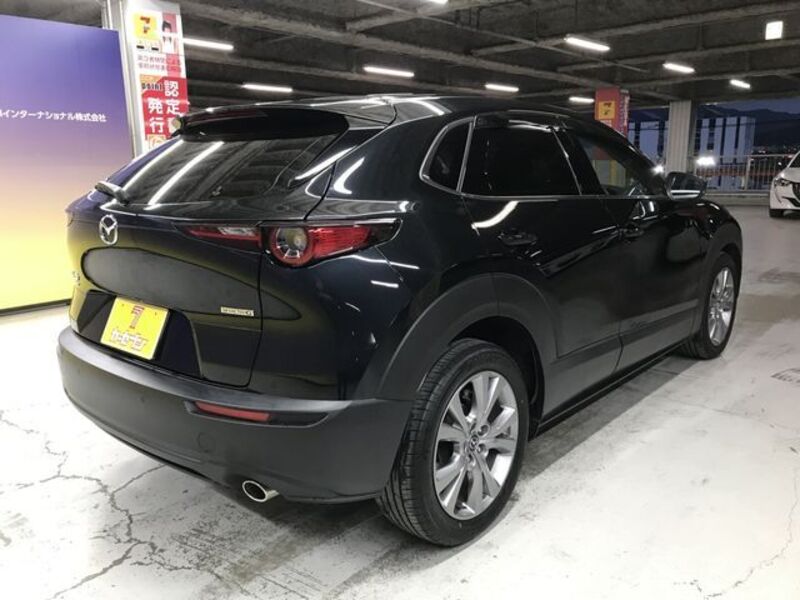 CX-30