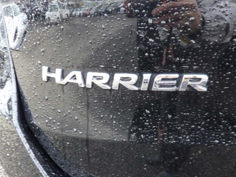 HARRIER